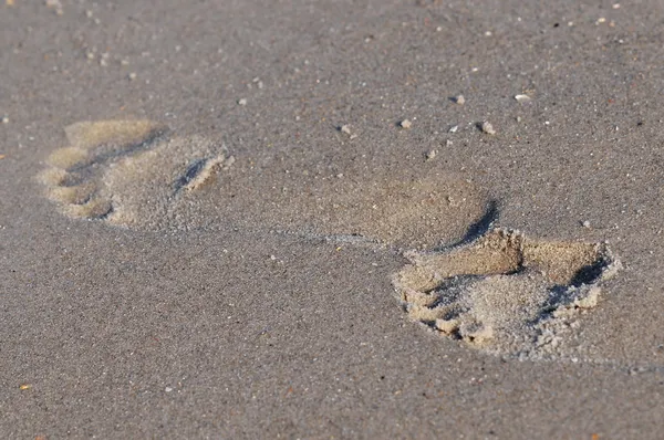 Impronta sulla sabbia — Foto Stock