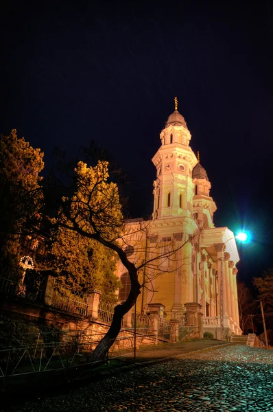 Grekisk katolska katedralen i Uzhhorod — Stockfoto