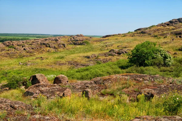 Natuurreservaat stenen graven — Stockfoto