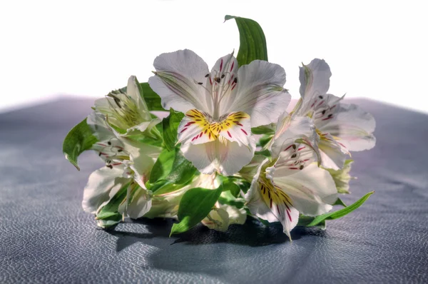 Boeket van kleurrijke bloemen — Stockfoto