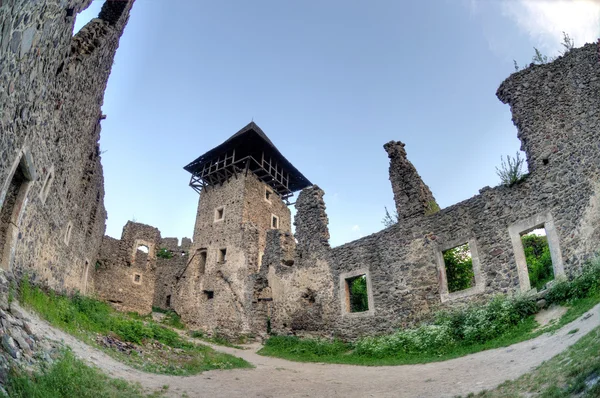 Castle in village Nevicke, Ukraine — Stock Photo, Image