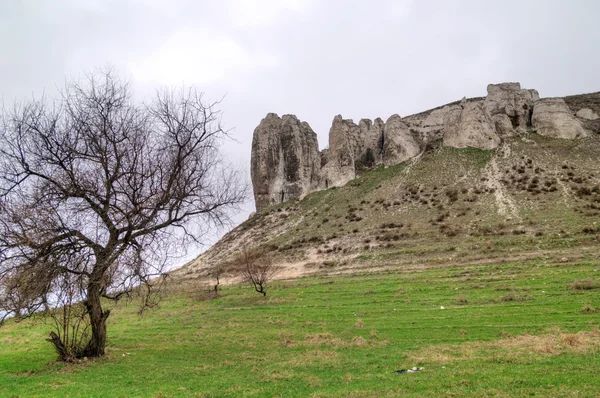 Kayalık çıkıntı Yukarı Kretase 'de yer almaktadır. — Stok fotoğraf