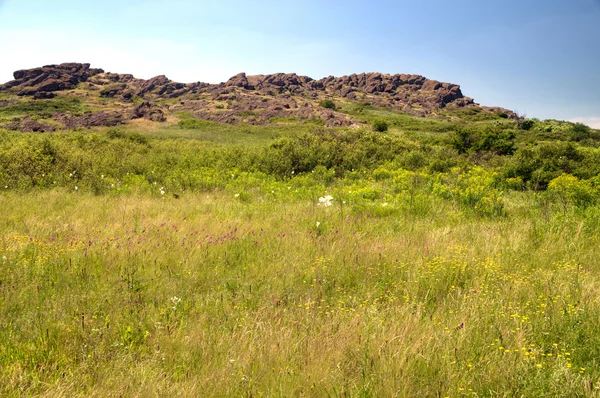 Rezerwat przyrody Grobowce kamienne — Zdjęcie stockowe