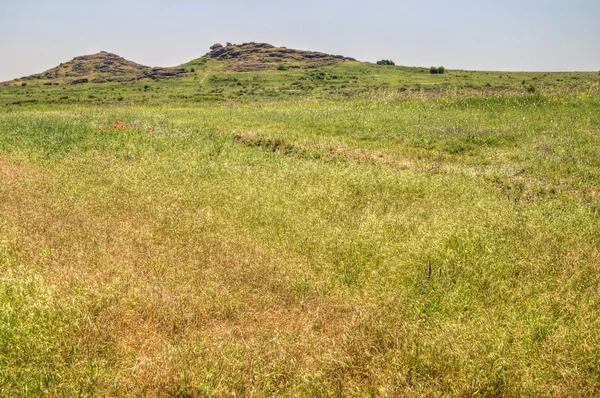 Natuurreservaat stenen graven — Stockfoto