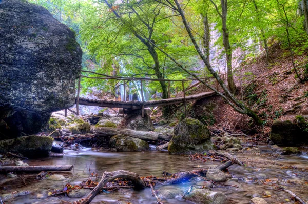 Cachoeira na madeira — Fotografia de Stock