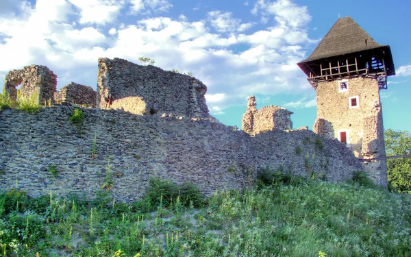 Замок в деревне Невике, Украина — стоковое фото