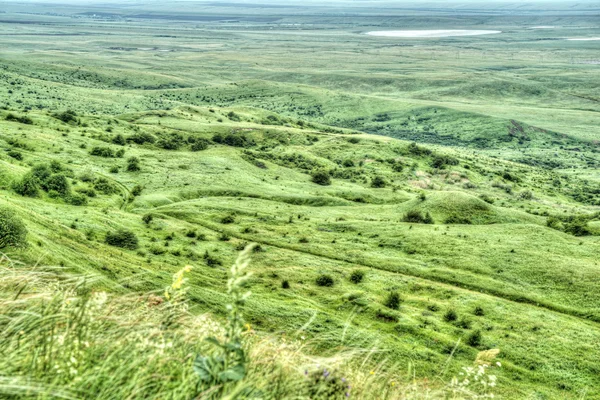 Reserveren strizhament. Rusland, stavropol. — Stockfoto