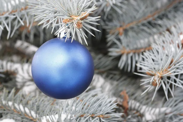 Bolas de Natal — Fotografia de Stock