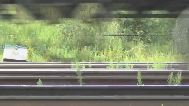 Поезда — стоковое видео