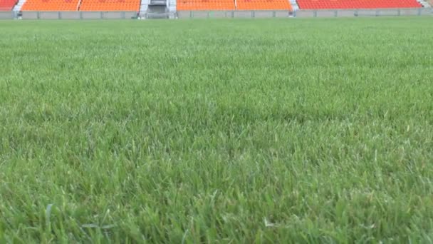 绿草如茵的球场上空荡荡的体育场 — 图库视频影像