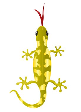 Beyaz arkaplanda kertenkele