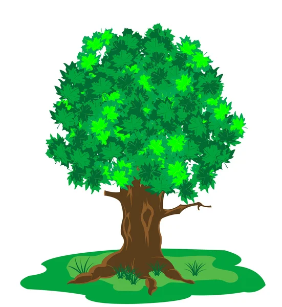 Levha ile yıl ağacı — Stok Vektör