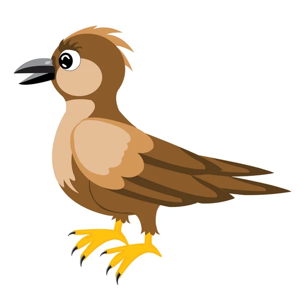 Illustration sparrow — Stock Vector