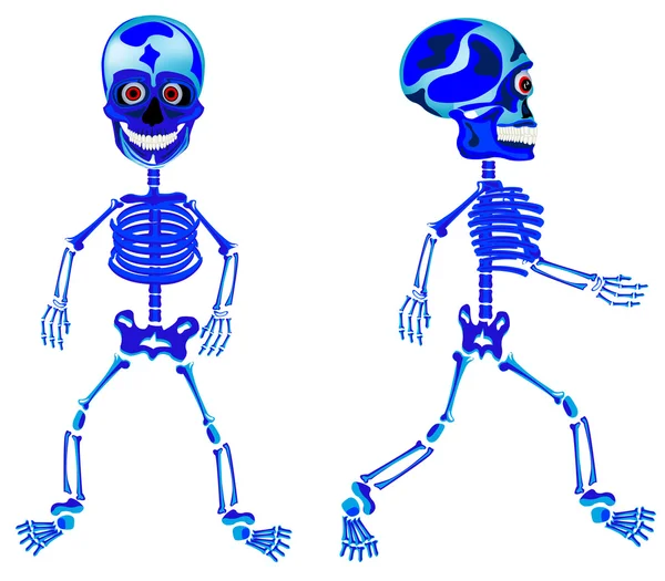Два ходячих скелета — стоковый вектор