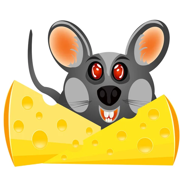 Baby mouse with cheese — Stock Vector