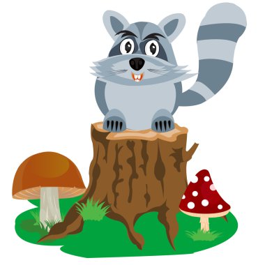 Racoon kenevir ağaç üzerinde