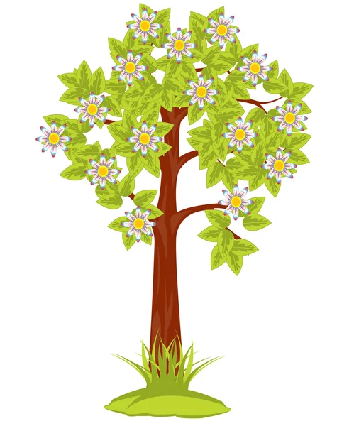 Цветущее дерево — стоковый вектор