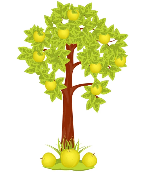 Apple Tree — Stock Vector