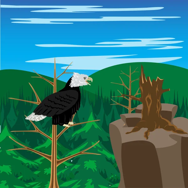 Vogel eagle zit op boom — Stockvector