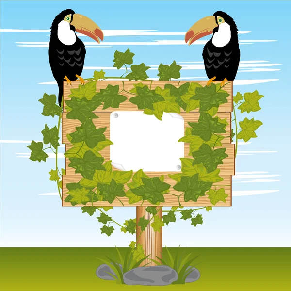 木盾植物和鸟类 — 图库矢量图片