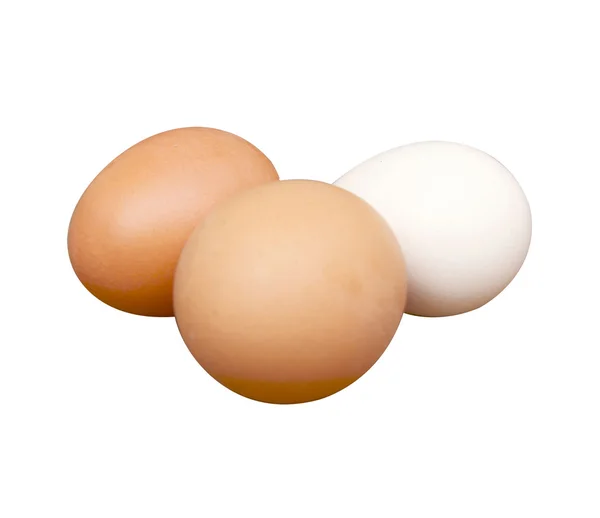 Uovo della gallina — Foto Stock