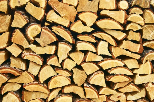 Firewood of the larch — Stock Photo, Image