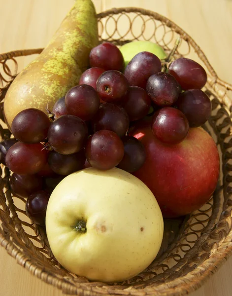 Сбор фруктов в корзину — стоковое фото