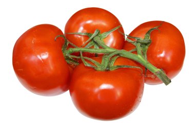 beyaz üzerine kırmızı domates