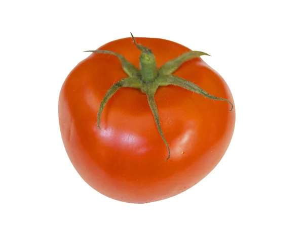 Tomato on white background — Stock Photo, Image