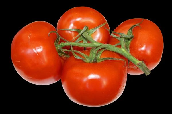 Rode tomaten op wit — Stockfoto