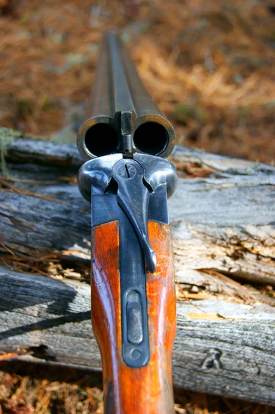 Pistolet de chasse gros plan — Photo