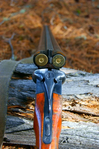 Handgun for hunt — Stock Photo, Image