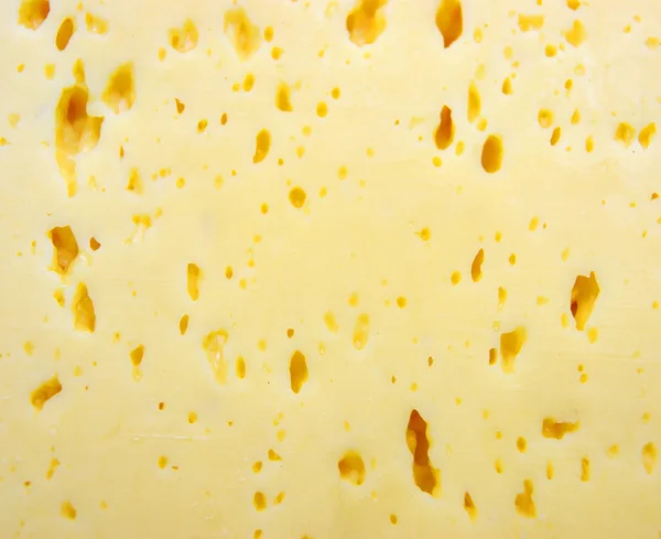 Antecedentes de queso suizo fresco — Foto de Stock