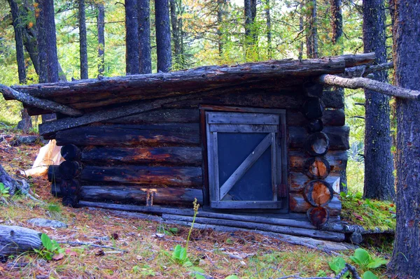 木製の小屋します。 — ストック写真
