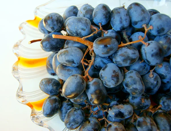 Виноград в тарелке — стоковое фото