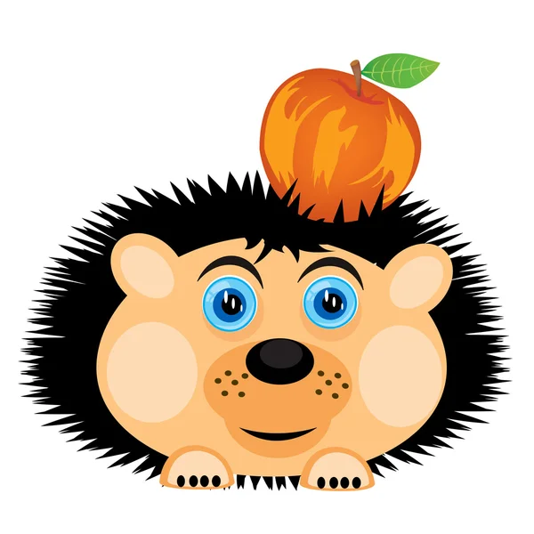 Hedgehog carries apple — Stock Vector