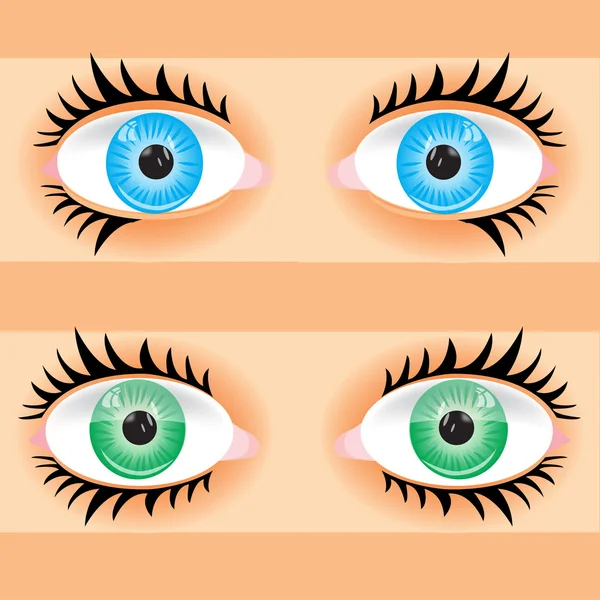 Глаз человека — стоковый вектор