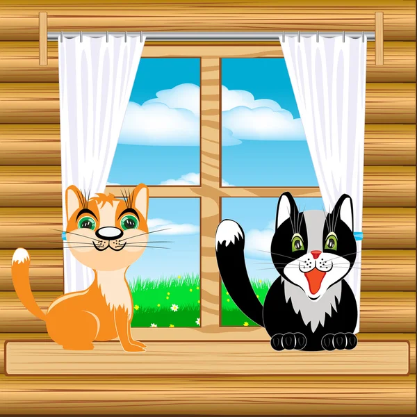 Cats on window — Stock Vector