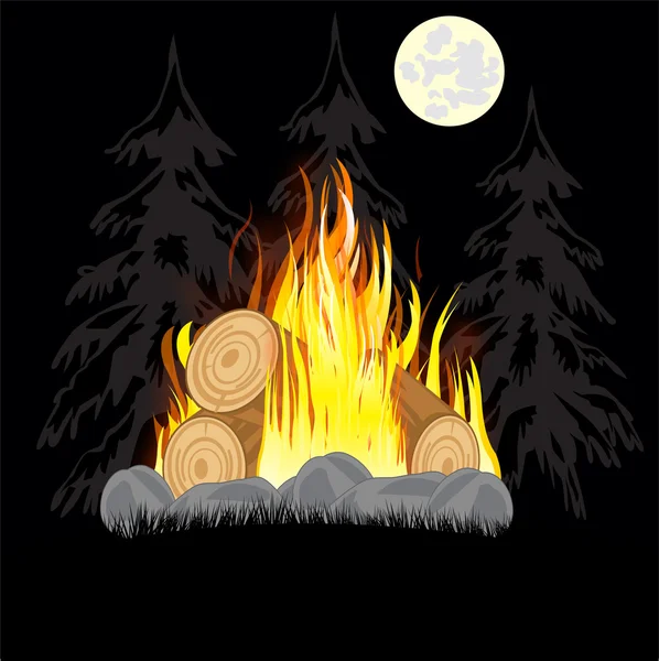 Campfire in wood — Stock Vector