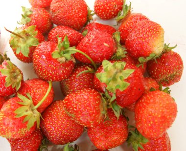 Berry çilek