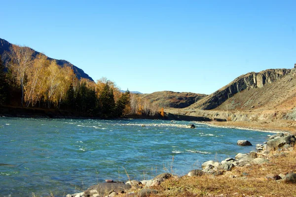 Río de montaña limpio otoño día a octubre — Foto de Stock