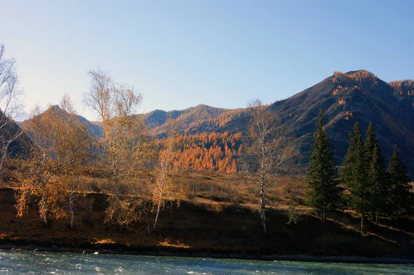 秋天的时候，山中的河流被树木覆盖着 — 图库照片