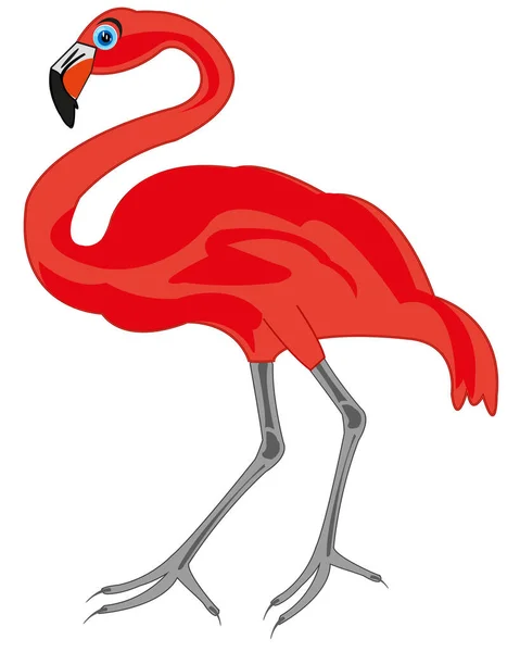 Ptačí růže flamingo na bílém pozadí je izolován — Stockový vektor
