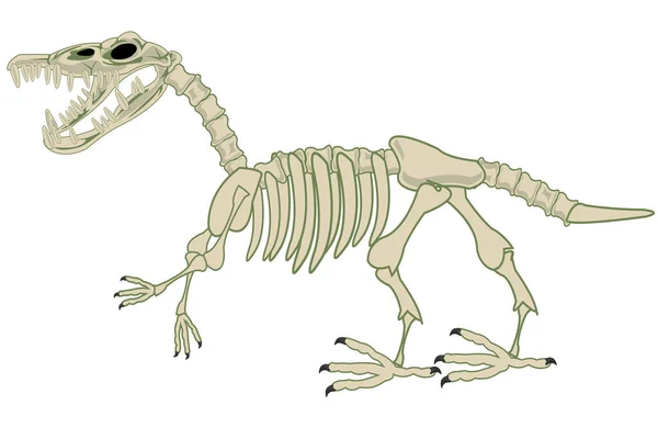 Kostlivec dinosaura na bílém pozadí je izolován — Stockový vektor