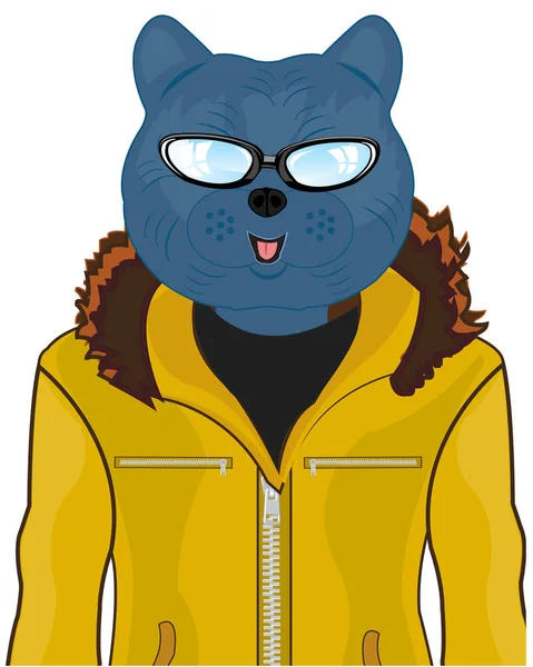 Man kat in modieuze doek en brillen — Stockvector