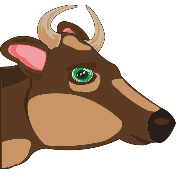 Head pets cow on white background is insulated — Vector de stock