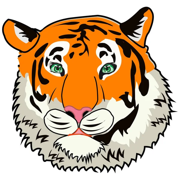 Vector illustration of the portrait of the wildlife tiger — Stock Vector