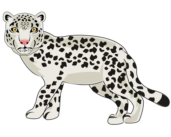 Wektor ilustracja dzikiej przyrody śnieg leopard kreskówka — Wektor stockowy