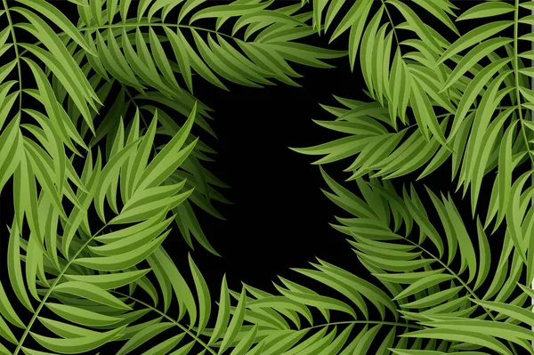 Зелений лист пальми на білому тлі — стоковий вектор