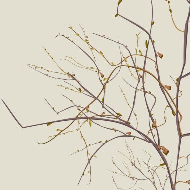 sonbahar ölü dallar